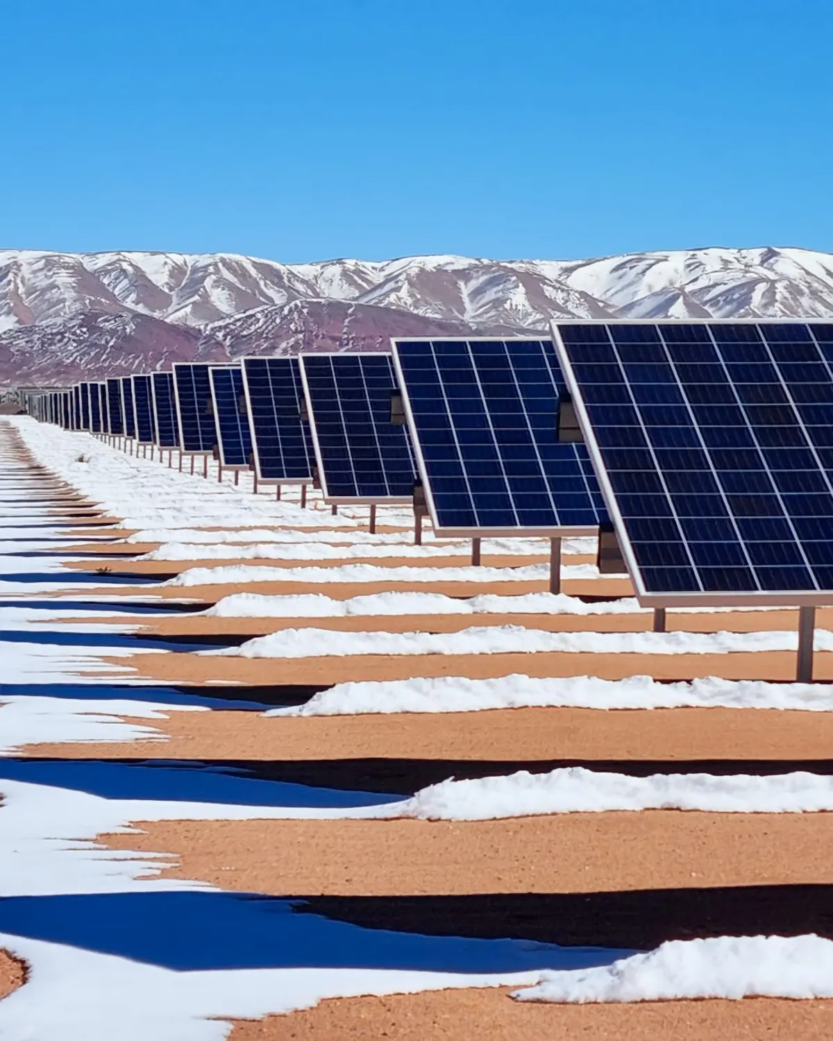 Parque Solar Cauchari (I, II y III)